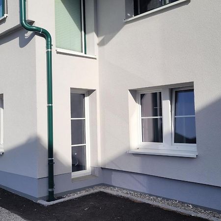 Pension Edelweiss, Apartment Amsterdam 4-6 Pers Гозау Екстериор снимка